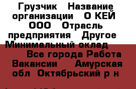 Грузчик › Название организации ­ О’КЕЙ, ООО › Отрасль предприятия ­ Другое › Минимальный оклад ­ 25 533 - Все города Работа » Вакансии   . Амурская обл.,Октябрьский р-н